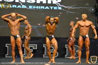 IFBB Чемпионат мира по бодибилдингу - 2019