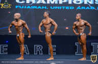 IFBB Чемпионат мира по бодибилдингу - 2019