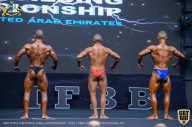 IFBB Чемпионат мира по бодибилдингу - 2019