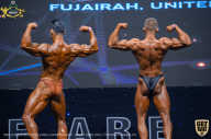 IFBB Чемпионат мира по бодибилдингу - 2019
