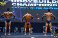 IFBB Чемпионат мира по бодибилдингу - 2019