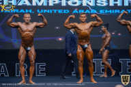 IFBB Чемпионат мира по бодибилдингу - 2019