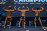 IFBB Чемпионат мира по бодибилдингу - 2019