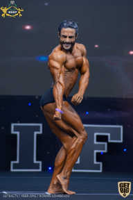 IFBB Чемпионат мира по бодибилдингу - 2019