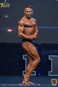 IFBB Чемпионат мира по бодибилдингу - 2019