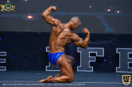 IFBB Чемпионат мира по бодибилдингу - 2019