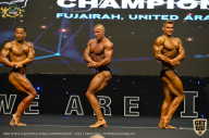 IFBB Чемпионат мира по бодибилдингу - 2019