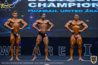 IFBB Чемпионат мира по бодибилдингу - 2019