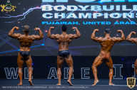 IFBB Чемпионат мира по бодибилдингу - 2019