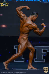 IFBB Чемпионат мира по бодибилдингу - 2019
