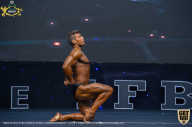 IFBB Чемпионат мира по бодибилдингу - 2019