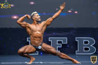 IFBB Чемпионат мира по бодибилдингу - 2019