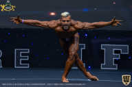 IFBB Чемпионат мира по бодибилдингу - 2019