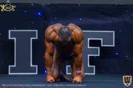 IFBB Чемпионат мира по бодибилдингу - 2019