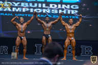 IFBB Чемпионат мира по бодибилдингу - 2019