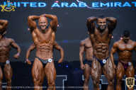 IFBB Чемпионат мира по бодибилдингу - 2019