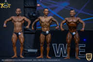 IFBB Чемпионат мира по бодибилдингу - 2019