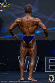 IFBB Чемпионат мира по бодибилдингу - 2019