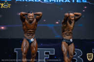IFBB Чемпионат мира по бодибилдингу - 2019
