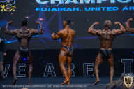 IFBB Чемпионат мира по бодибилдингу - 2019