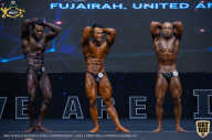 IFBB Чемпионат мира по бодибилдингу - 2019