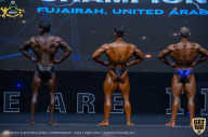 IFBB Чемпионат мира по бодибилдингу - 2019