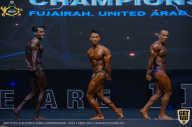 IFBB Чемпионат мира по бодибилдингу - 2019