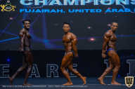 IFBB Чемпионат мира по бодибилдингу - 2019