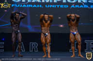 IFBB Чемпионат мира по бодибилдингу - 2019