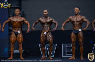 IFBB Чемпионат мира по бодибилдингу - 2019