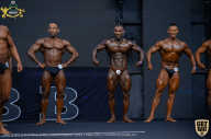 IFBB Чемпионат мира по бодибилдингу - 2019