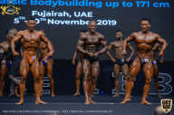 IFBB Чемпионат мира по бодибилдингу - 2019
