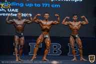 IFBB Чемпионат мира по бодибилдингу - 2019