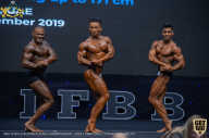 IFBB Чемпионат мира по бодибилдингу - 2019