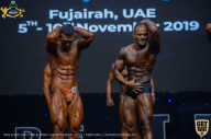 IFBB Чемпионат мира по бодибилдингу - 2019