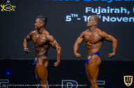 IFBB Чемпионат мира по бодибилдингу - 2019