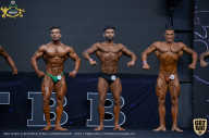 IFBB Чемпионат мира по бодибилдингу - 2019