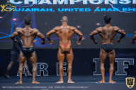 IFBB Чемпионат мира по бодибилдингу - 2019
