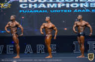 IFBB Чемпионат мира по бодибилдингу - 2019