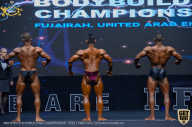 IFBB Чемпионат мира по бодибилдингу - 2019