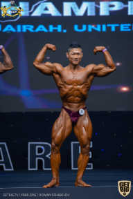 IFBB Чемпионат мира по бодибилдингу - 2019