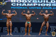 IFBB Чемпионат мира по бодибилдингу - 2019