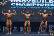 IFBB Чемпионат мира по бодибилдингу - 2019