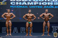 IFBB Чемпионат мира по бодибилдингу - 2019