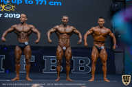 IFBB Чемпионат мира по бодибилдингу - 2019