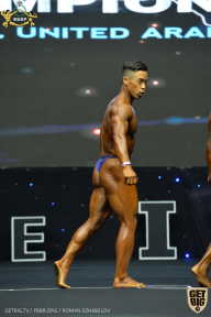 IFBB Чемпионат мира по бодибилдингу - 2019