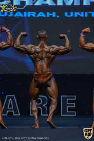 IFBB Чемпионат мира по бодибилдингу - 2019