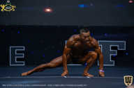 IFBB Чемпионат мира по бодибилдингу - 2019