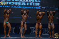 IFBB Чемпионат мира по бодибилдингу - 2019