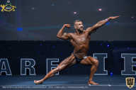 IFBB Чемпионат мира по бодибилдингу - 2019